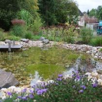 wasser im garten mg